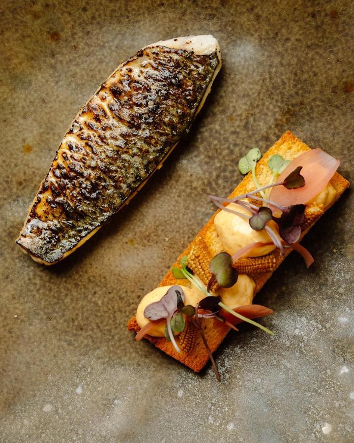 Hotel Maison Pavlov - Restaurant & Spa - Bordeaux Bouscat Le Bouscat Eksteriør billede